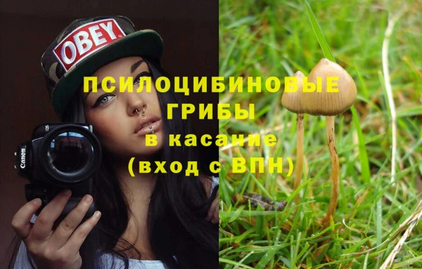 гашик Балахна